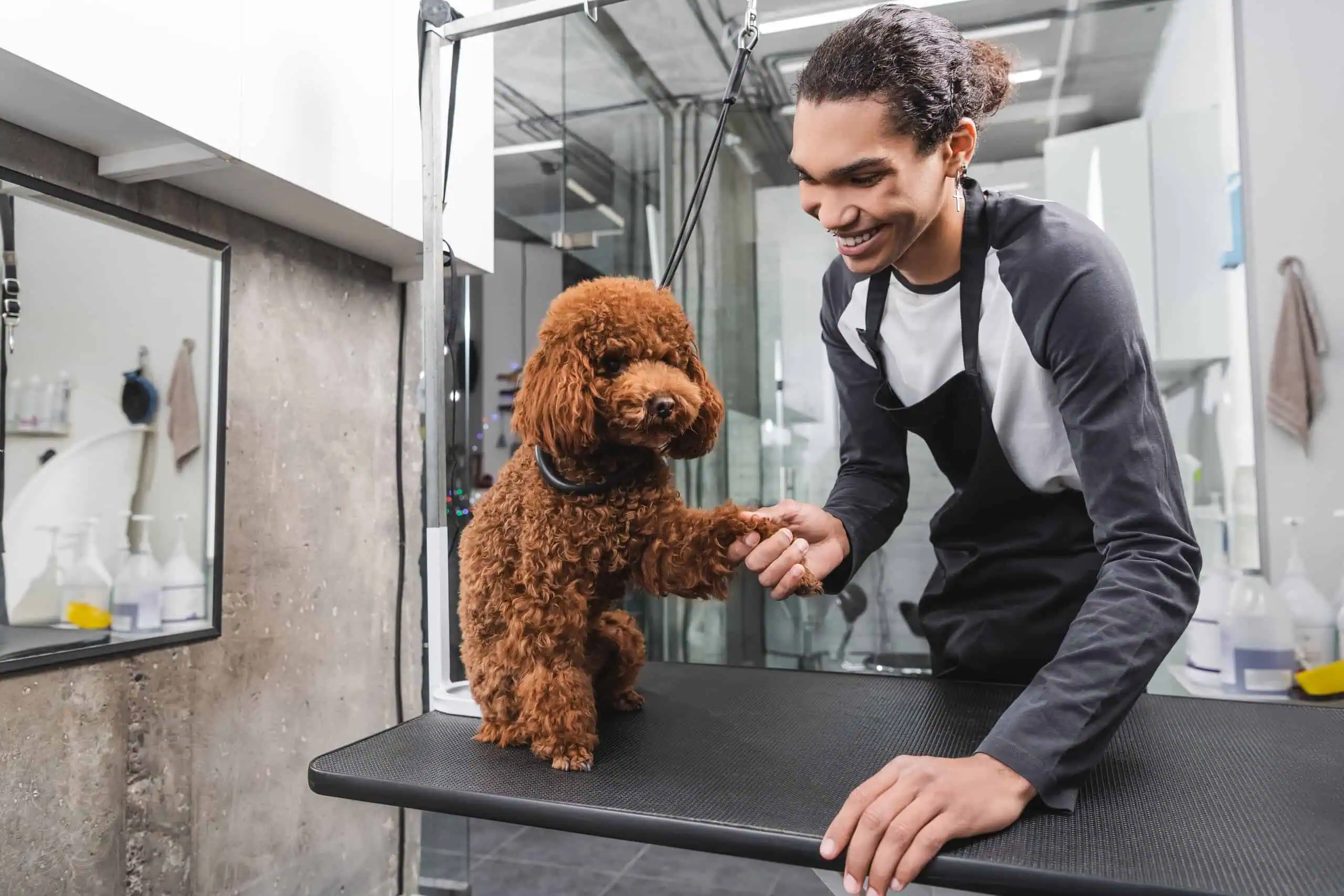 Pet Grooming Insurance Texas
