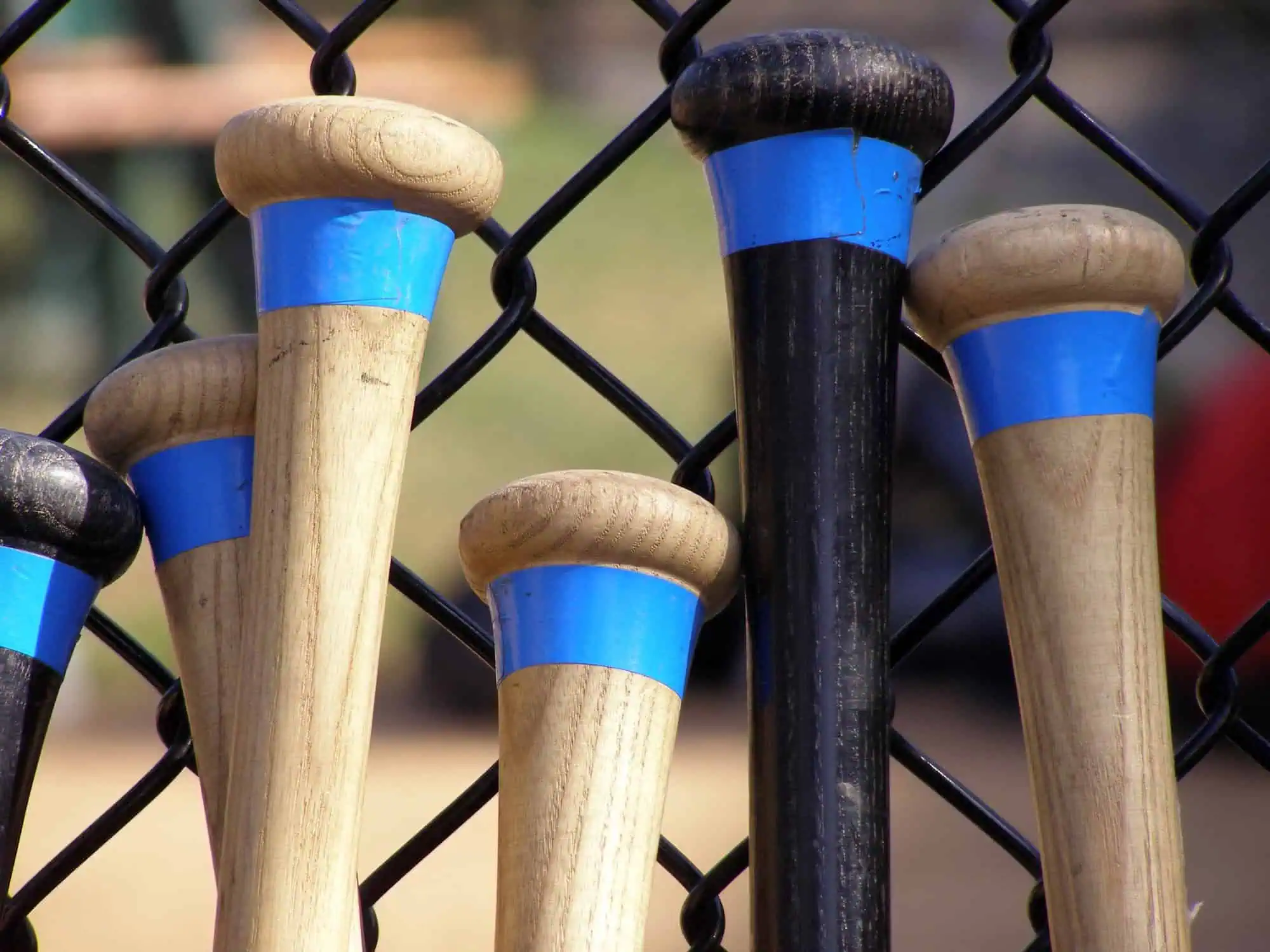 Batting Cage Insurance Texas