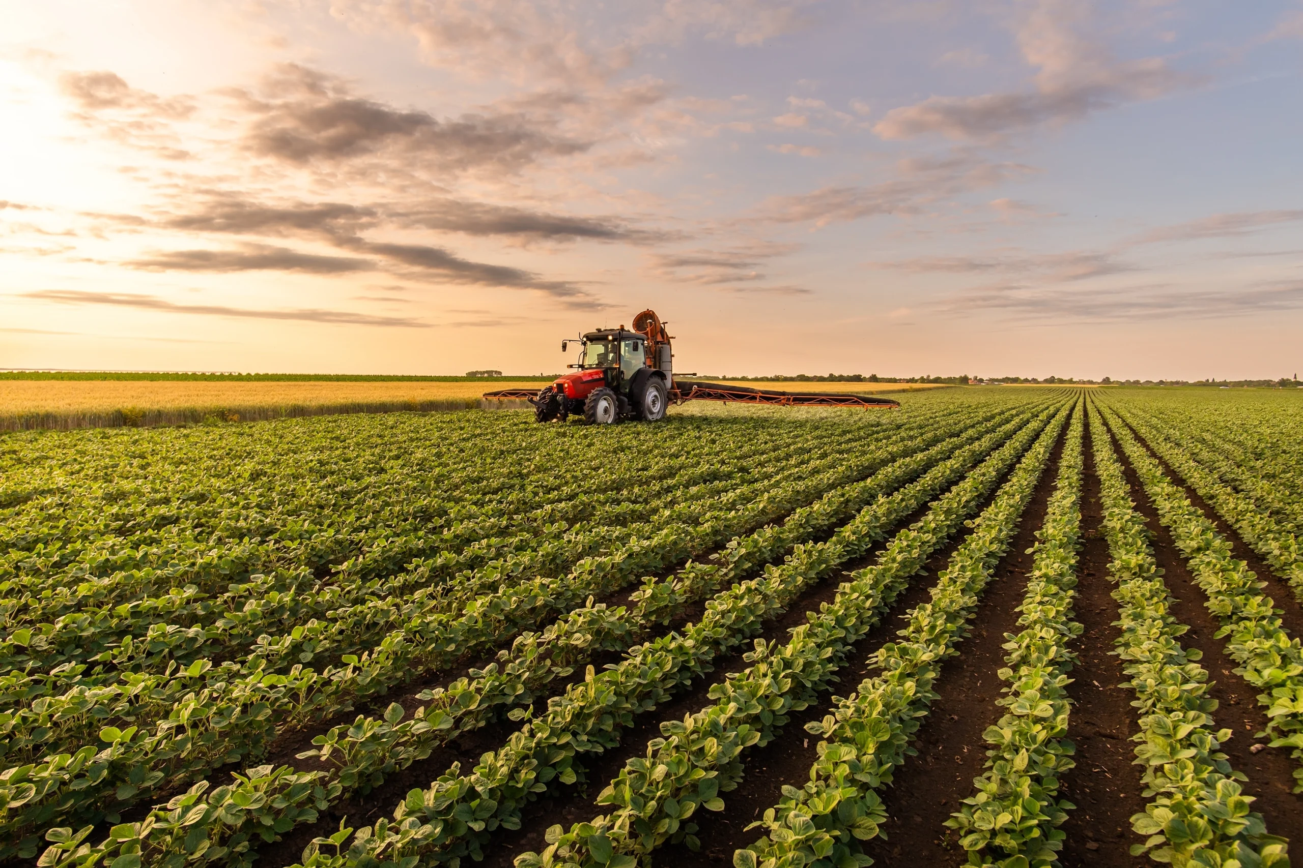 Farm Insurance Texas