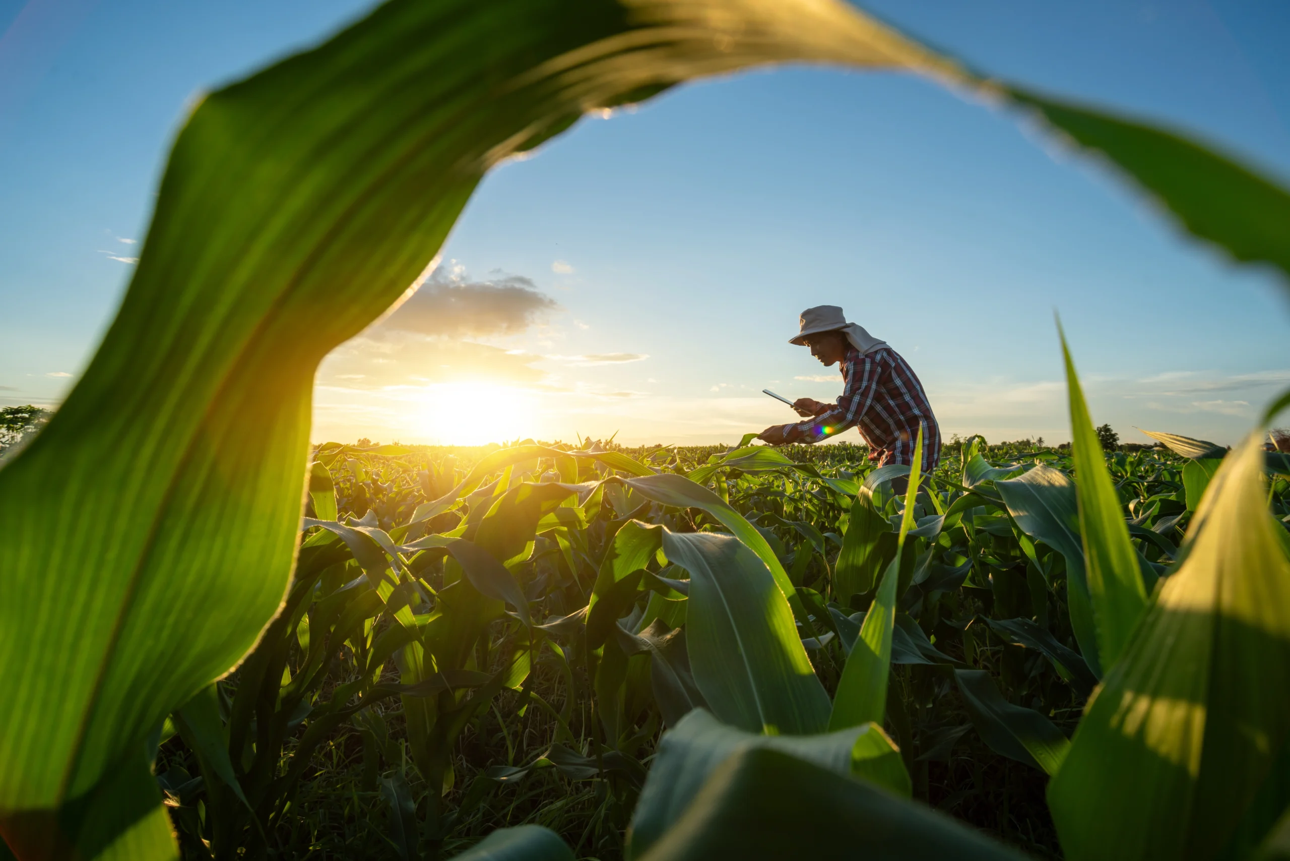 Farm Insurance Texas